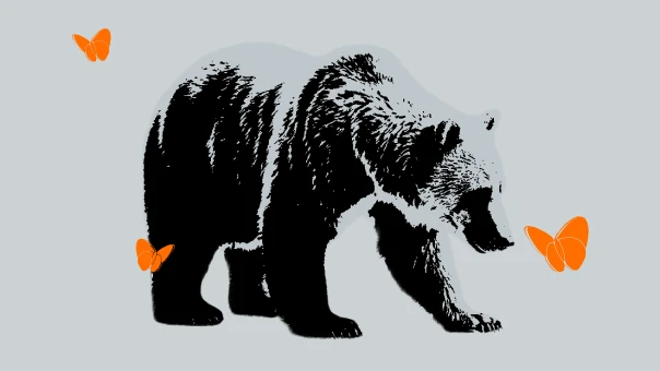 Why History Informs the Bear Case for SK Hynix